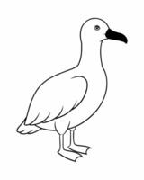 A Hand Drawn Albatross Outline vector