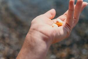 mujer comiendo lechoso almendra nueces. un joven caucásico mujer el cortar Fresco verde almendra después Mañana aptitud yoga cerca mar. solamente manos son visiblemente. sano vegano alimento. lento movimiento. cerca arriba foto