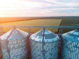 Grain silos on a green field background with warm sunset light. Grain elevator. Metal grain elevator in agricultural zone. Agriculture storage for harvest. Aerial view of agricultural factory. Nobody. photo