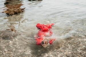 mujer viaje mar. contento turista en rojo vestir disfrutar tomando imagen al aire libre para recuerdos. mujer viajero posando en mar playa, rodeado por volcánico montañas, compartiendo viaje aventuras viaje foto