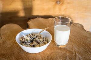 Muesli Breakfast Mix photo