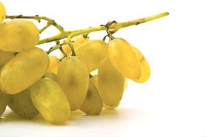 Ripe green grape on a white background photo