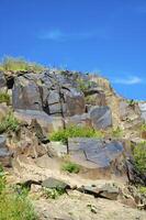 petroglifos dentro el arqueológico paisaje de tamgaly. almaty área, Kazajstán foto