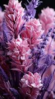 Lavender purple flower natural floral from farmland photo