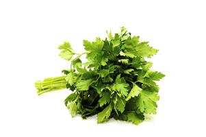 Ripe Green Parsley Isolated on White Background photo