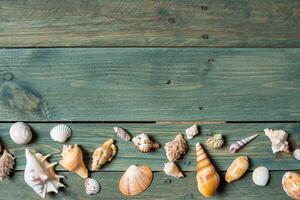 variedad de mar conchas en un de madera antecedentes foto