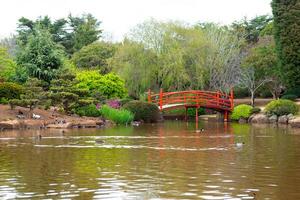 Japanese garden with bridge photo