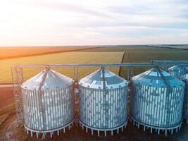 Grain silos on a green field background with warm sunset light. Grain elevator. Metal grain elevator in agricultural zone. Agriculture storage for harvest. Aerial view of agricultural factory. Nobody. photo