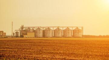 Silos and granary elevator. Modern agro-processing manufacturing plant with grain-drying complex. processing, drying, cleaning, and storing agricultural products in wheat, rye or corn fields photo