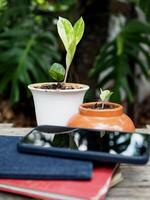 work space in garden green garden background relax and tecnology mobile photo