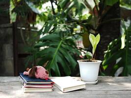 work space in garden green garden background relax and tecnology mobile photo