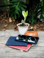 work space in garden green garden background relax and tecnology mobile photo