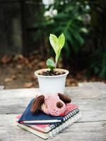 work space in garden green garden background relax and tecnology mobile photo