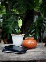 work space in garden green garden background relax and tecnology mobile photo