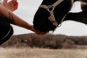 joven contento mujer con su poni caballo en noche puesta de sol ligero. al aire libre fotografía con Moda modelo muchacha. estilo de vida humor. concepto de al aire libre equitación, Deportes y recreación. foto