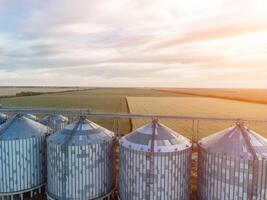 Grain silos on a green field background with warm sunset light. Grain elevator. Metal grain elevator in agricultural zone. Agriculture storage for harvest. Aerial view of agricultural factory. Nobody. photo