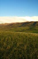 hermosa ver de Valle con el montañas foto