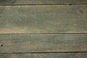 Detailed Wood Texture Photography photo