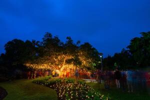 The magical Enchanted Gardens in Roma Street Parklands, Brisbane, Australia. photo