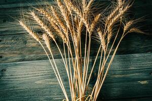 Wheat Ears on the Wooden Table. Sheaf of Wheat over Wood Background. Harvest concept photo