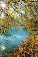 Autumn photo after snowfall, mountain lake Issyk in Almaty region, Kazakhstan. October.