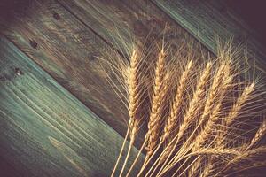 Wheat Ears on the Wooden Table. Sheaf of Wheat over Wood Background. Harvest concept photo