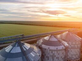 Grain silos on a green field background with warm sunset light. Grain elevator. Metal grain elevator in agricultural zone. Agriculture storage for harvest. Aerial view of agricultural factory. Nobody. photo