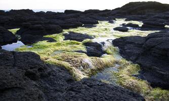 Mornington peninsula. Victoria photo