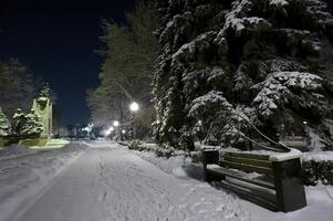 Winter city park photo