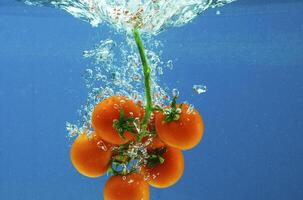 Vegetables in water photo