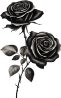 Black and White Rose Drawing, Pen and Ink Sketch Flowers. AI-Generated. png