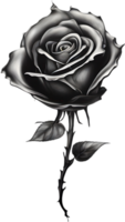 Black and White Rose Drawing, Pen and Ink Sketch Flowers. AI-Generated. png