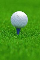 juego en el golf club en contra el antecedentes de el verde jugoso césped foto