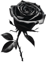 Black and White Rose Drawing, Pen and Ink Sketch Flowers. AI-Generated. png