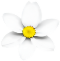 minimalistisk söt blomma ikon. blomma ClipArt. ai-genererad. png