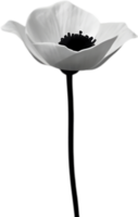 minimaliste mignonne fleur icône. fleur clipart. ai-généré. png