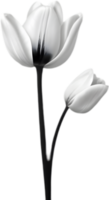 minimalista fofa flor ícone. flor clipart. gerado por ai. png