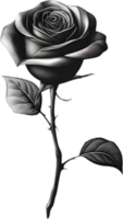 Black and White Rose Drawing, Pen and Ink Sketch Flowers. AI-Generated. png