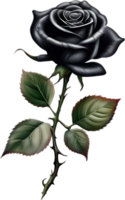 Black and White Rose Drawing, Pen and Ink Sketch Flowers. AI-Generated. png