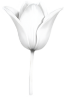 minimaliste mignonne fleur icône. fleur clipart. ai-généré. png