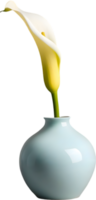 Calla lily in a minimalist ceramic vase. AI-Generated. png