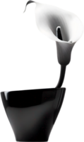 Calla lily in a minimalist ceramic vase. AI-Generated. png