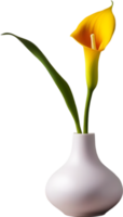 Calla lily in a minimalist ceramic vase. AI-Generated. png