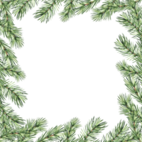 jul ram årgång med tall träd gren. gran kvist med grön nålar. hand dragen vattenfärg illustration traditionell vinter- bakgrund. isolerat mall för kort, inbjudan, ny år, skriva ut. png