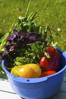 Sweet peper with the verdure on nature photo