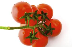 Ripe tomatoes on a branch on a white background photo