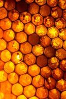 Close up studio shot of organic honey in a honey-comb. photo