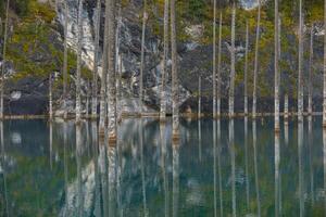 kaindy lago en tien-shan montañas, Kazajstán foto