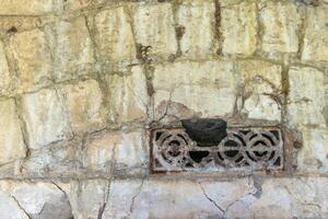 Old dirty brick wall, vintage background photo