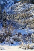 excelente formas de invierno naturaleza foto